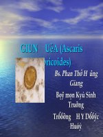 Bài Giảng Giun Đũa Ký Sinh Trùng Y Học