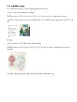 Bài C1 trang 26 sgk vật lý 7