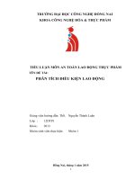 Phân tích điều kiện lao động