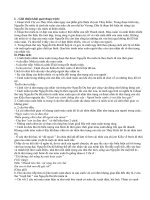 Phân tích đoạn trích “Cảnh ngày xuân” (Trích Truyện Kiều của Nguyễn Du)