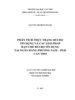 phân tích thực trạng rủi ro tín dụng và các giải pháp hạn chế rủi ro tín dụng tại ngân hàng phương nam – pgd cần thơ 