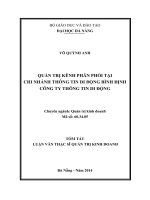 Quản trị kênh phân phối tại chi nhánh thông tin di động bình định công ty thông tin di động 