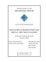 công tác trấn áp tội phạm ở tỉnh cà mau hiện nay – thực trạng và giải pháp