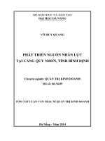 Phát triển nguồn nhân lực tại cảng quy nhơn, tỉnh bình định  