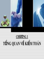 Bài giảng Chương 1: Tổng quan về kiểm toán