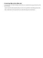 Lý thuyết Hai loại điện tích.