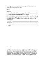 Môi trường chính trị của campuchia có ảnh hưởng như thế nào đến các doanh nghiệp việt nam khi tiến hành hội nhập