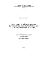 phân tích các báo cáo bộ phận tại côngty cổ phần tập đoàn hoa sen chi nhánh cái răng cần thơ