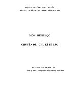 CHUYÊN đề CHU kì tế bào 