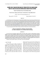Nghiên cứu áp dụng mô hình định giá tương đối với các doanh nghiệp niêm yết trên sở giao dịch chứng khoán Thành phố Hồ Chí Minh