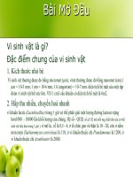 bài giảng vi sinh môi trường  đại học quốc gia hà nội