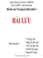 Báo cáo: Tìm hiểu về dòng hải lưu