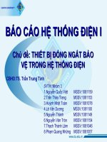 BÁO cáo hệ THỐNG điện i CHỦ đề THIẾT bị ĐÓNG NGẮT bảo vệ TRONG hệ THỐNG điện