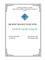 BÀI BÁO CÁO HỆ SINH THÁI ĐẤT NGẬP NƯỚC