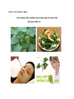 XÂY DỰNG TIÊU CHUẨN CHO DƯỢC LIỆU Ở THỰC VẬT CÂY RAU DIẾP CÁ