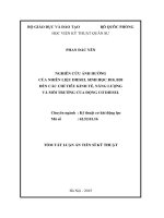 Nghiên cứu ảnh hưởng của nhiên liệu diesel sinh học b10, b20 đến các chỉ tiêu kinh tế, năng lượng và môi trường của động cơ diesel (tóm tắt)