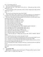 ôn thi cuối kỳ môn thương mại điện tử