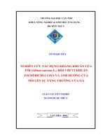 nghiên cứu tác dụng kháng khuẩn của tỏi (allium sativum l.) đối với vi khuẩn escherichia coli và ảnh hưởng của tỏi lên sự tăng trưởng của gà