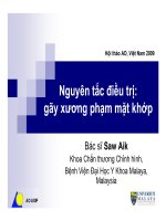 Bài thuyết trình nguyên tắc điều trị gãy xương phạm mặt khớp