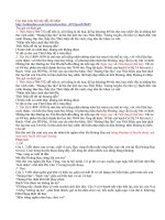 Tìm hiểu và phân tích Hoàng lạc lâu