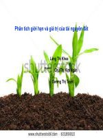 Phân tích giới hạn và giá trị của tài nguyên đất