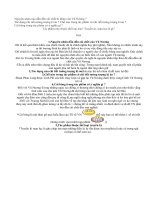 Nguyên nhân nào dẫn đến cái chết bi thảm của Vũ Nương?