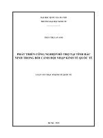 Phát triển công nghiệp hỗ trợ tại tỉnh bắc ninh trong bối cảnh hội nhập kinh tế quốc tế 