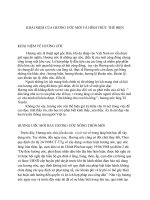 KHÁI NIỆM CỦA HƯƠNG ƯỚC MỚI VÀ HÌNH THỨC THỂ HIỆN