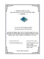 đánh giá hiệu quả xử lý nước thải của cơ sở sản xuất hủ tiếu bằng phương pháp cánh đồng lọc chảy tràn có trồng cây sậy