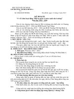 Mô hình liên đội. Đội tự quản vì màu xanh sân trường