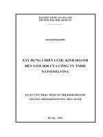 Xây dựng chiến lược kinh doanh đến năm 2020 của công ty TNHH NATSTEELVINA  