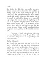 15 tình huống sư phạm thường gặp khi bạn trở thành giáo viên