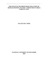 Influence of transboundary pollution of biomass burning on ionic compounds in urban particulates 