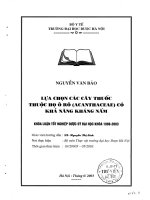 Lựa chọn các cây thuốc thuộc họ ô rô ( acanthaceae ) có khả năng kháng nấm