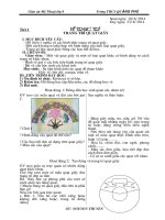 GIÁO ÁN MỸ THUẬT LỚP 8 NĂM 2015-2016