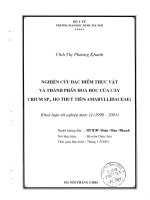 Nghiên cứu đặc điểm thực vật và thành phần hóa học của cây crium sp4   họ thủy tiên ( amaryllidaceae )