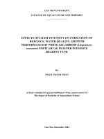 effects of light intensity on formation of bioflocs, water quality, growth performanceof white leg shrimp (litopenaeus vannamei) postlarvae in super intensive rearing tank