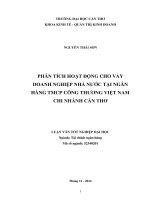 phân tích hoạt động cho vay doanh nghiệp nhà nước tại ngân hàng tmcp công thương việt nam chi nhánh cần thơ