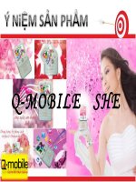 Ý NIỆM sản PHẨM điện THOẠI DI ĐỘNG q MOBILE 