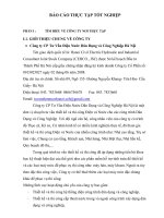 Báo cáo thực tập tốt nghiệp tại công ty CP tư vấn điện nước dân dụng và công nghiệp hà nội