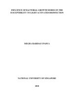 Influence of bacterial growth modes on the susceptibility to light activated disinfection 