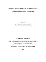 Optimal public policy in an endogenous growth model with monopoly 