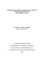 THE ROLE OF DMSO IN THE REGULATION OF IMMUNE RESPONSES BY DENDRITIC CELLS 