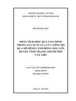 phân tích hiệu quả tài chính trong sản xuất lúa của nông hộ qua mô hình cánh đồng mẫu lớn huyện vĩnh thạnh, thành phố cần thơ