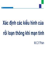 Xác Định Các Kiểu Hình Của Rối Loại Thông Khí Mạn Tính