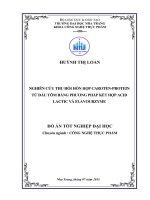 Nghiên cứu thu hồi hỗn hợp caroten protein từ đầu tôm bằng phương pháp kết hợp acid lactic và flavourzyme