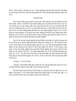 Trên cương vị nhà quản trị của doanh nghiệp nước giải khát REDBULL chuẩn bị xâm nhập vào thị trường Việt Nam, hãy nhận dạng phân tích và đề xuất phương pháp giải quyết các rủi ro.