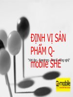 ĐỊNH vị sản PHẨM q mobile SHE 