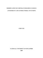 Modification of chitosan for simultaneous antioxidant and antibacterial functions 