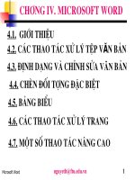 CHƯƠNG IV MICROSOFT WORD 